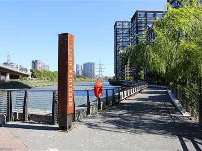 Picture 15